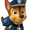 Paw Patrol Games · Play Online